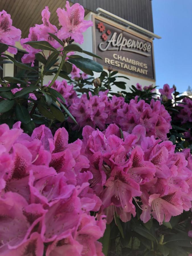Alpenrose Chamonix Exterior foto
